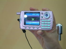 2004中国国际通信设备技术展 见证MM最爱的十大手机风采